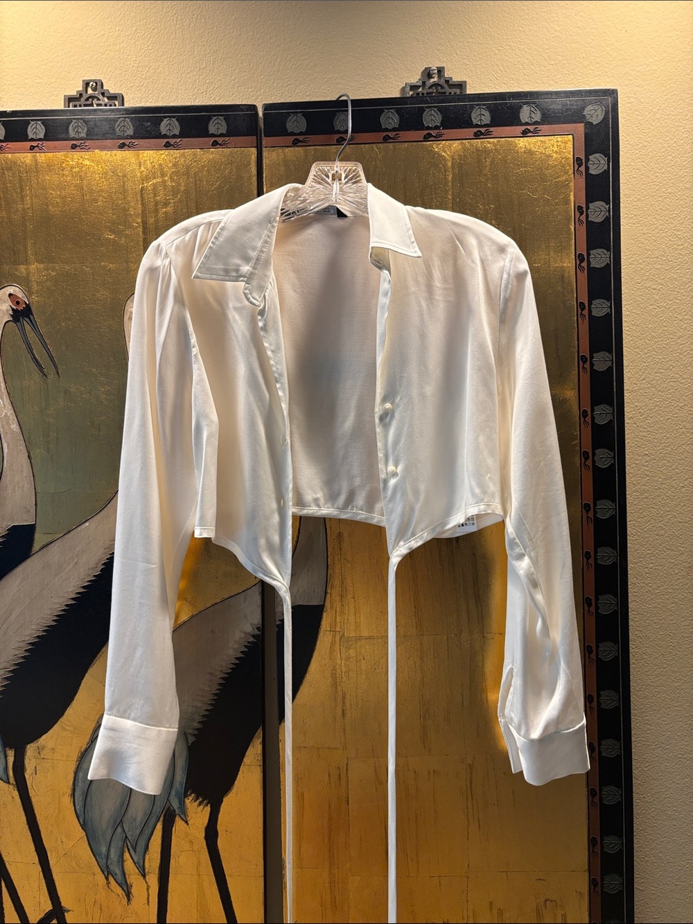 Cropped Satin Tie Blouse